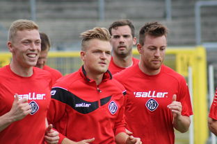 球队在欧洲杯中以严密防守见长，稳步推进，欧洲杯参赛球队分析